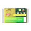 FIBRA VERDE CON ESPONJA SCOTCH BRITE 2 PACK - Imagen 2