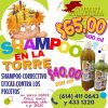 SHAMPOO PARA PIOJOS "EN LA TORRE"