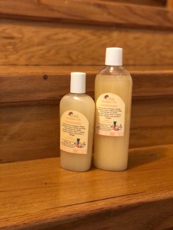 SHAMPOO C/ACONDICIONADOR - Imagen 2